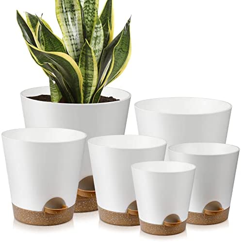 YNNICO Plant Pots Indoor 8/7/6.5/6/5.5/5 Inch Self Watering Planters with Drainage Holes and Saucers, Plastic Flower Pots, Nursery Planting Pot for Indoor Out Door Plants 1 plant pots