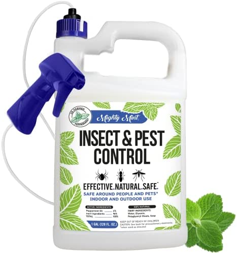 Mighty Mint Gallon (128 oz) Insect and Pest Control Peppermint Oil - Natural Spray for Spiders, Ants, and More 1 hydroponic pest control