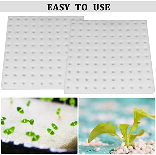 XIDAJIE 400 Pcs Hydroponic Sponges Planting Gardening Tool Soilless Cultivation Seedling Sponges Cultivation Sponge Greenhouse for Small Bud Growth & Grow Seedlings 4 XIDAJIE 400 Pcs Hydroponic Sponges Planting Gardening Tool Soilless Cultivation Seedling Sponges Cultivation Sponge Greenhouse for Small Bud Growth & Grow Seedlings - Image 4