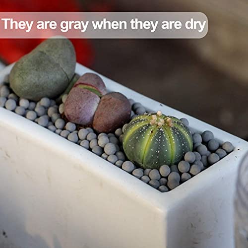 wohohoho 2.2lbs Mini Hydroponics Clay Pebbles Balls, Upgraded 3mm-5mm Grey Hydro Ceramsite, Horticultural Plant Top-Dressing Decorative Rocks for Aquaponics, Drainage Water, Purification, Cultivation 3 wohohoho 2.2lbs Mini Hydroponics Clay Pebbles Balls, Upgraded 3mm-5mm Grey Hydro Ceramsite, Horticultural Plant Top-Dressing Decorative Rocks for Aquaponics, Drainage Water, Purification, Cultivation - Image 3