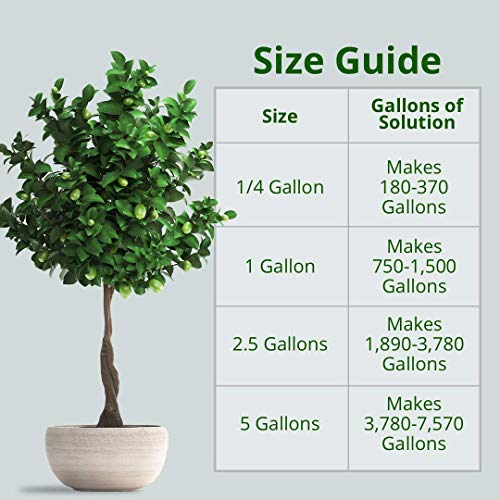 Humboldts Secret Tree Trunk - Silicate Additive - Advanced Nutrients - Helps Plants Flourish - Indoor Plant Food - Hydroponic Nutrients - Liquid Fertilizer (32 Ounce) 3 Humboldts Secret Tree Trunk - Silicate Additive - Advanced Nutrients - Helps Plants Flourish - Indoor Plant Food - Hydroponic Nutrients - Liquid Fertilizer (32 Ounce) - Image 3