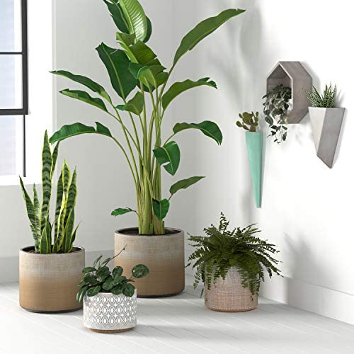 Amazon Brand – Rivet Rustic Stoneware Crosshatch Indoor Outdoor Flower Plant Pot, 7.9"H, Bronze 4 Amazon Brand – Rivet Rustic Stoneware Crosshatch Indoor Outdoor Flower Plant Pot, 7.9"H, Bronze - Image 4