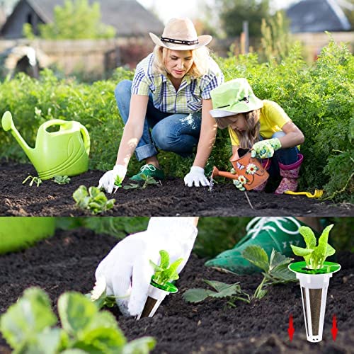 Hydroponic Garden Accessories Pod Kit Including Grow Baskets Transparent Insulation Lids Plant Grow Sponges Labels for Seed Starting System (120 Pieces) 4 Hydroponic Garden Accessories Pod Kit Including Grow Baskets Transparent Insulation Lids Plant Grow Sponges Labels for Seed Starting System (120 Pieces) - Image 4