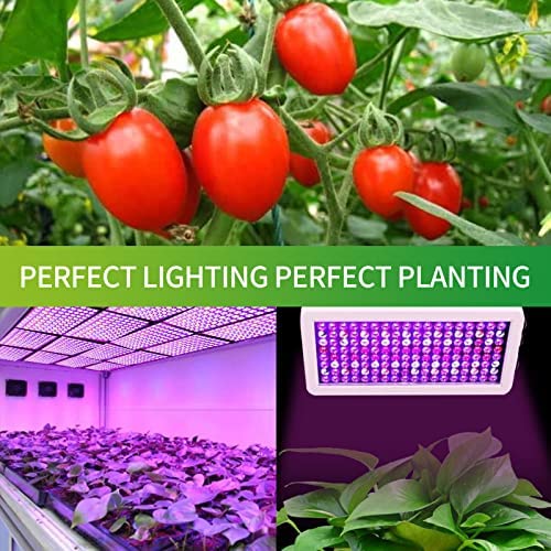 LUYIMIN Upgraded 1000W LED Grow Lights with Dual Switch 7 LUYIMIN Upgraded 1000W LED Grow Lights with Dual Switch - Image 7