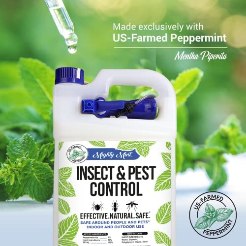 Mighty Mint Gallon (128 oz) Insect and Pest Control Peppermint Oil - Natural Spray for Spiders, Ants, and More 5 Mighty Mint Gallon (128 oz) Insect and Pest Control Peppermint Oil - Natural Spray for Spiders, Ants, and More - Image 5