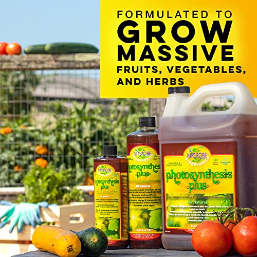 MICROBE Life HYDROPONICS PHPHACP pH Control Kit with pH Up & ph Down Liquid for pH Stability, 16 Ounce Bottles, with 4 Ounce Sample of Premium Photosynthesis Plus Liquid Nutrients 3 MICROBE Life HYDROPONICS PHPHACP pH Control Kit with pH Up & ph Down Liquid for pH Stability, 16 Ounce Bottles, with 4 Ounce Sample of Premium Photosynthesis Plus Liquid Nutrients - Image 3