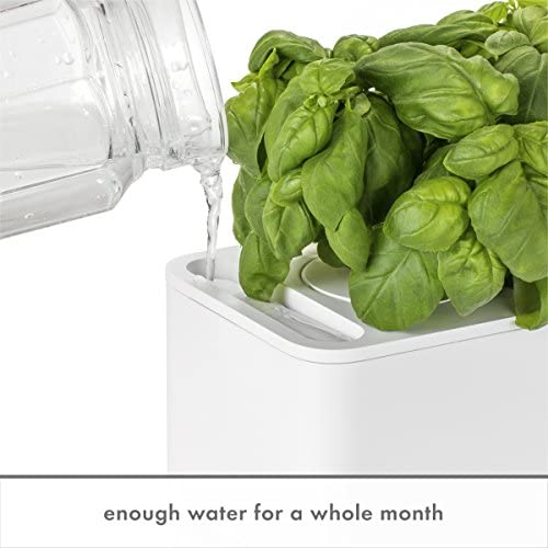 Click & Grow Indoor Herb Garden Kit with Grow Light | Smart Garden for Home Kitchen Windowsill | Easier Than Hydroponics Growing System | Vegetable Gardening Starter (3 Basil Pods Included), White 4 Click & Grow Indoor Herb Garden Kit with Grow Light | Smart Garden for Home Kitchen Windowsill | Easier Than Hydroponics Growing System | Vegetable Gardening Starter (3 Basil Pods Included), White - Image 4