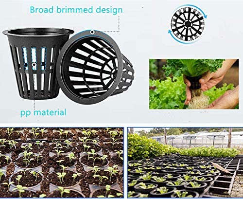 IPXEAD 100PCS 2 Inch Garden Slotted Mesh Net Cups, Round Heavy Duty Net Cups Pots for, Hydroponics Slotted Mesh… 2 IPXEAD 100PCS 2 Inch Garden Slotted Mesh Net Cups, Round Heavy Duty Net Cups Pots for, Hydroponics Slotted Mesh… - Image 2