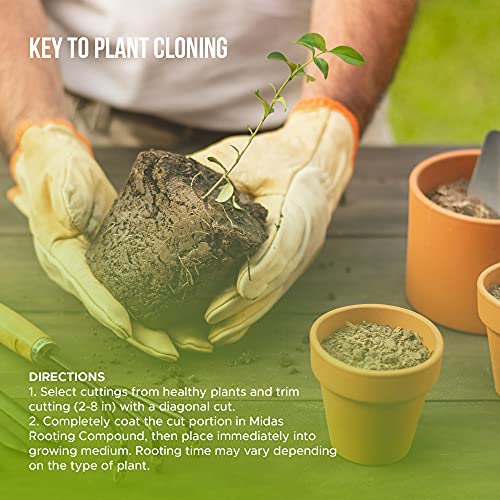 Rooting Gel for Cuttings – IBA Rooting Hormone - Cloning Gel for Strong Clones - Key to Plant Cloning - Midas Products Rooting Gel Hormone for Cuttings 4oz - for Professional and Home Based Growers 2 Rooting Gel for Cuttings – IBA Rooting Hormone - Cloning Gel for Strong Clones - Key to Plant Cloning - Midas Products Rooting Gel Hormone for Cuttings 4oz - for Professional and Home Based Growers - Image 2