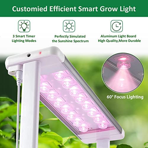 eSuperegrow Hydroponics Growing System,Smart Hydroponic Gardening System with LED Grow Light,Indoor Garden Hydroponic Herb Grow Kit with Climbing Trellis for Short Tomato,Basil,Pepper,Cucumber 2 eSuperegrow Hydroponics Growing System,Smart Hydroponic Gardening System with LED Grow Light,Indoor Garden Hydroponic Herb Grow Kit with Climbing Trellis for Short Tomato,Basil,Pepper,Cucumber - Image 2