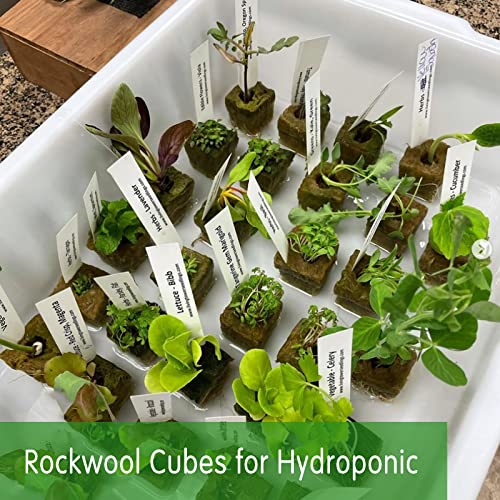 CastleGreens 1inch Rockwool Grow Cubes, Starter Plugs for Plant Growing, Great for Rooting, Cuttings, Clone Plants, Germination Start Seeds, Ideal Hydroponic Grow Media(4 Sheets, 200 Cubes Total) 4 CastleGreens 1inch Rockwool Grow Cubes, Starter Plugs for Plant Growing, Great for Rooting, Cuttings, Clone Plants, Germination Start Seeds, Ideal Hydroponic Grow Media(4 Sheets, 200 Cubes Total) - Image 4