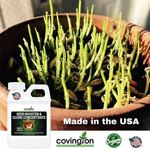 Clone & Seed Starter Solution 6 Clone & Seed Starter Solution - Image 6