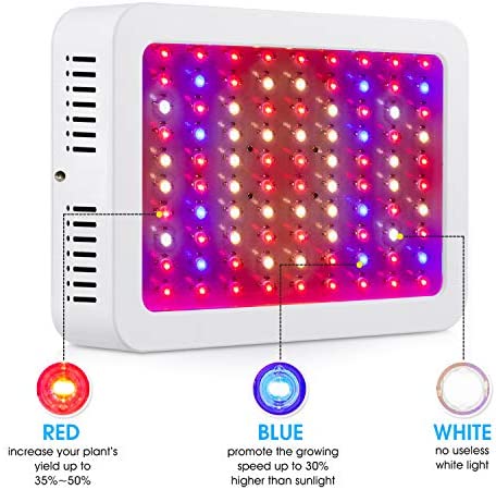 Giixer 1000W LED Grow Light, Dual Switch & Dual Chips Full Spectrum LED Grow Light Hydroponic Indoor Plants Veg and Flower-1000 watt ( 10W LEDs 100Pcs) 2 Giixer 1000W LED Grow Light, Dual Switch & Dual Chips Full Spectrum LED Grow Light Hydroponic Indoor Plants Veg and Flower-1000 watt ( 10W LEDs 100Pcs) - Image 2