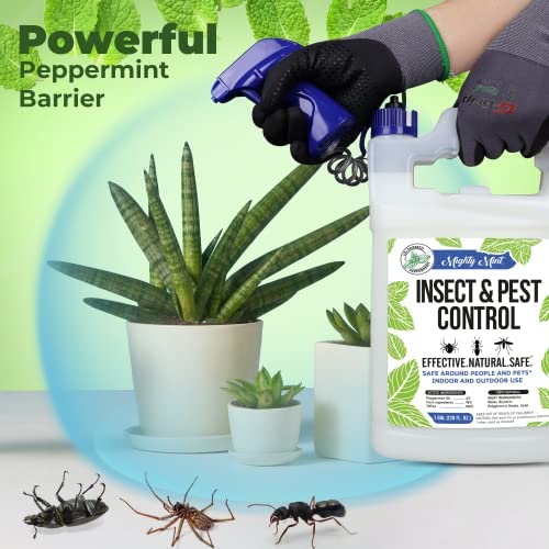 Mighty Mint Gallon (128 oz) Insect and Pest Control Peppermint Oil - Natural Spray for Spiders, Ants, and More 3 Mighty Mint Gallon (128 oz) Insect and Pest Control Peppermint Oil - Natural Spray for Spiders, Ants, and More - Image 3
