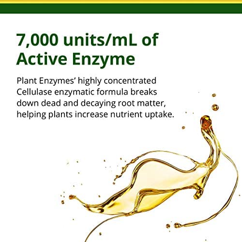Humboldts Secret Plant Enzymes – Best Plant and Root Enzymes – 7000 Active Units of Enzyme per Milliliter – Quality Plant Food and Plant Fertilizer – Highly Concentrated – 8 Ounce 2 Humboldts Secret Plant Enzymes – Best Plant and Root Enzymes – 7000 Active Units of Enzyme per Milliliter – Quality Plant Food and Plant Fertilizer – Highly Concentrated – 8 Ounce - Image 2
