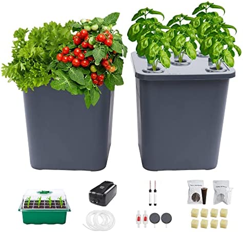 Lawnful 2 Hydroponic Buckets Kit for Plants, Hydroponics Growing System for Herbs/Tomato/Vegetables, DWC System with Air Pump & Germination Tray (Complete Indoor Hydroponic Gardening Supplies) 1 hydroponic co2 kit