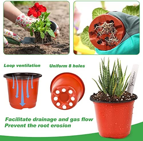 TDHDIKE 4" Plant Pots Small Plastic Plants Nursery Pot/Pots (100pcs) 3 TDHDIKE 4" Plant Pots Small Plastic Plants Nursery Pot/Pots (100pcs) - Image 3