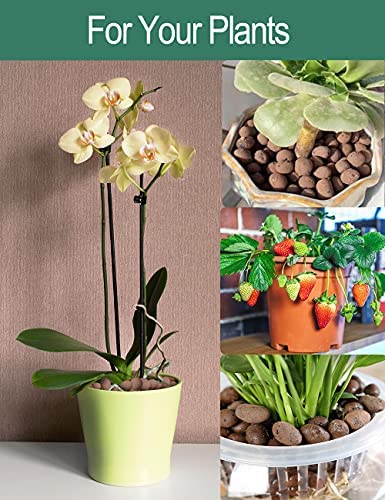 Toypopor 7qt Hydroponic Clay Pebbles, 8mm-12mm, Natural Organic Expanded Grow Media for Hydroponics, Drainage, Decoration, Aquaponics and Other Gardening Essentials 4 Toypopor 7qt Hydroponic Clay Pebbles, 8mm-12mm, Natural Organic Expanded Grow Media for Hydroponics, Drainage, Decoration, Aquaponics and Other Gardening Essentials - Image 4