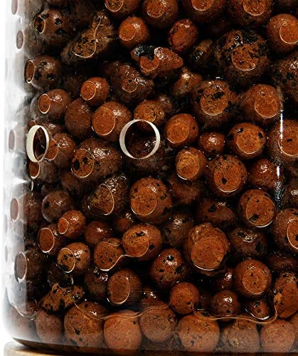 Pot & Pebble Glass Indoor Planter with Wooden Base & Water Level Control: Transparent for Root Visibility (Suitable for Semi-Hydroponic or General Use) Easier Plant Care, Less Watering & More Growth! 5 Pot & Pebble Glass Indoor Planter with Wooden Base & Water Level Control: Transparent for Root Visibility (Suitable for Semi-Hydroponic or General Use) Easier Plant Care, Less Watering & More Growth! - Image 5