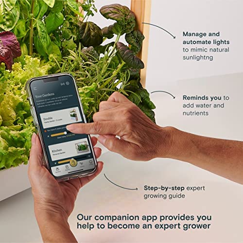 Rise Gardens Personal Garden and Starter Kit | Hydroponics Growing System, Wi-Fi & App Controlled Indoor Garden with Growing Lights & Self-Watering System | Includes 8 Seed Pods & 6 Weeks Nutrients 5 Rise Gardens Personal Garden and Starter Kit | Hydroponics Growing System, Wi-Fi & App Controlled Indoor Garden with Growing Lights & Self-Watering System | Includes 8 Seed Pods & 6 Weeks Nutrients - Image 5