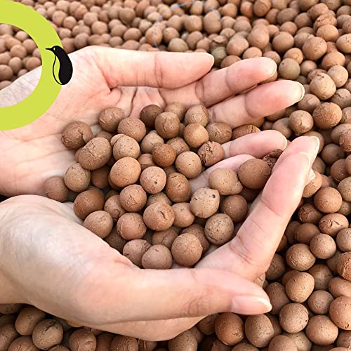 PGN Clay Pebbles for Hydroponic Growing - 10 Liters (4 Pounds) - Organic Expanded Clay Balls for Plants - PH Neutral Leca for Plants - Aquaponics and Hydroponics Supplies in a Resealable Storage Bag 3 PGN Clay Pebbles for Hydroponic Growing - 10 Liters (4 Pounds) - Organic Expanded Clay Balls for Plants - PH Neutral Leca for Plants - Aquaponics and Hydroponics Supplies in a Resealable Storage Bag - Image 3