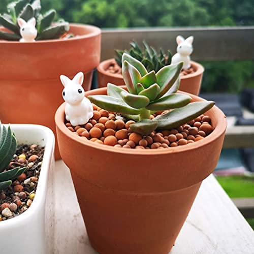 Wohohoho 2.2lbs Mini Hydroponics Clay Pebbles, Upgraded 3mm-5mm Hydro Ceramsite Balls 2 Wohohoho 2.2lbs Mini Hydroponics Clay Pebbles, Upgraded 3mm-5mm Hydro Ceramsite Balls - Image 2