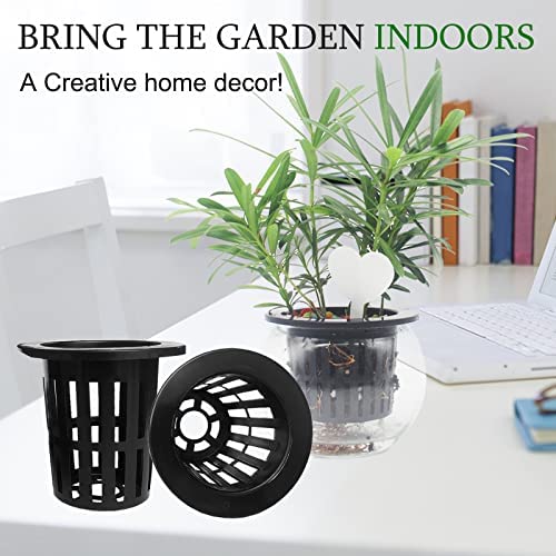 Tmtamye 100 Pack 2 inch Net Pots Hydroponics Supplies Cups 3 Tmtamye 100 Pack 2 inch Net Pots Hydroponics Supplies Cups - Image 3