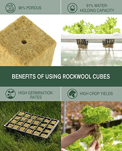 SKINNYBUNNY Rockwool Cubes 1 inch, Rock Wool Planting Cubes with Holes 2 SKINNYBUNNY Rockwool Cubes 1 inch, Rock Wool Planting Cubes with Holes - Image 2
