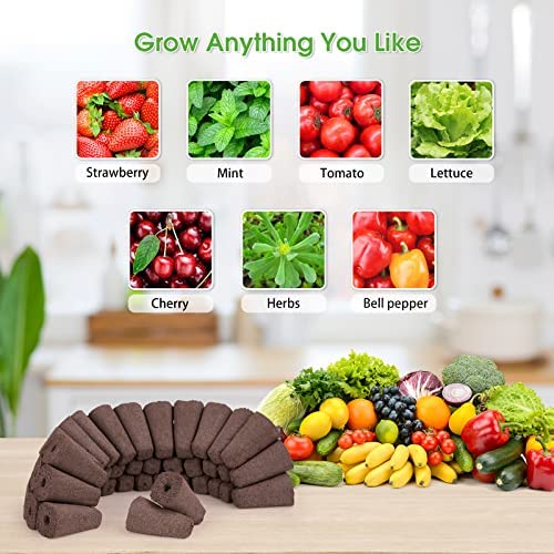 60 Pack Replacement Grow Sponges, Seed Pod Kit Seed Starter Pods Hydroponics Sponges Grow Sponges for Hydroponics Root Growth Sponges Refill Pods for Hydroponic Growing System Indoor Garden, Square 6 60 Pack Replacement Grow Sponges, Seed Pod Kit Seed Starter Pods Hydroponics Sponges Grow Sponges for Hydroponics Root Growth Sponges Refill Pods for Hydroponic Growing System Indoor Garden, Square - Image 6