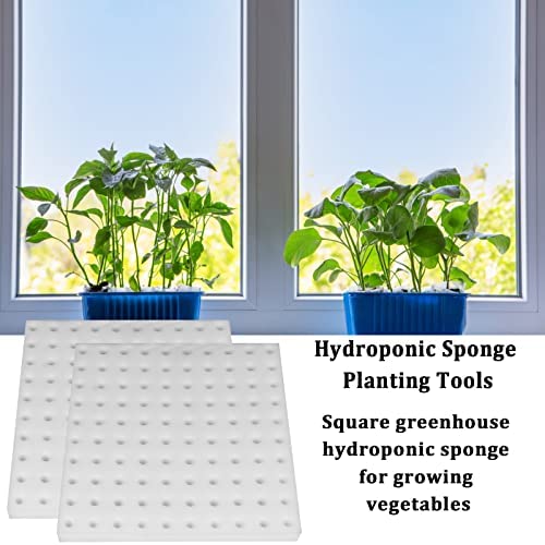 XIDAJIE 400 Pcs Hydroponic Sponges Planting Gardening Tool Soilless Cultivation Seedling Sponges Cultivation Sponge Greenhouse for Small Bud Growth & Grow Seedlings 3 XIDAJIE 400 Pcs Hydroponic Sponges Planting Gardening Tool Soilless Cultivation Seedling Sponges Cultivation Sponge Greenhouse for Small Bud Growth & Grow Seedlings - Image 3