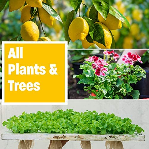 Humboldts Secret Golden Tree: Best Plant Food for Plants & Trees - All-in-One Concentrated Additive - Vegetables, Flowers, Fruits, Lawns, Roses, Tomatoes & More (1 Gallon) 5 Humboldts Secret Golden Tree: Best Plant Food for Plants & Trees - All-in-One Concentrated Additive - Vegetables, Flowers, Fruits, Lawns, Roses, Tomatoes & More (1 Gallon) - Image 5