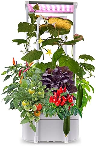 eSuperegrow Hydroponics Growing System,Smart Hydroponic Gardening System with LED Grow Light,Indoor Garden Hydroponic Herb Grow Kit with Climbing Trellis for Short Tomato,Basil,Pepper,Cucumber 1 hydroponic growing medium rocks