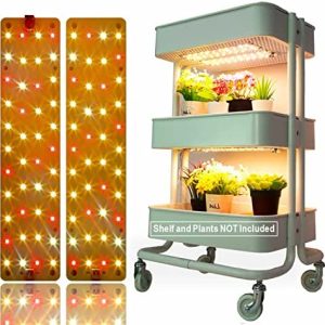 hydroponic grow lights led