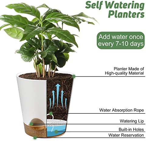 YNNICO Plant Pots Indoor 8/7/6.5/6/5.5/5 Inch Self Watering Planters with Drainage Holes and Saucers, Plastic Flower Pots, Nursery Planting Pot for Indoor Out Door Plants 5 YNNICO Plant Pots Indoor 8/7/6.5/6/5.5/5 Inch Self Watering Planters with Drainage Holes and Saucers, Plastic Flower Pots, Nursery Planting Pot for Indoor Out Door Plants - Image 5