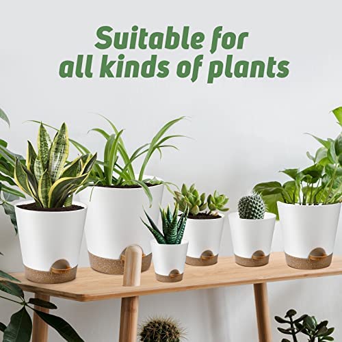 YNNICO Plant Pots Indoor 8/7/6.5/6/5.5/5 Inch Self Watering Planters with Drainage Holes and Saucers, Plastic Flower Pots, Nursery Planting Pot for Indoor Out Door Plants 7 YNNICO Plant Pots Indoor 8/7/6.5/6/5.5/5 Inch Self Watering Planters with Drainage Holes and Saucers, Plastic Flower Pots, Nursery Planting Pot for Indoor Out Door Plants - Image 7