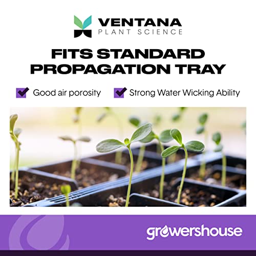 VPS OrganiPlug Hydroponic Seed Starter Plugs - 100 PK Rapid Root Starter Pods for Plant Cloning Plugs - Seed Growing Plugs for Cuttings - Fits Standard Tray 5 VPS OrganiPlug Hydroponic Seed Starter Plugs - 100 PK Rapid Root Starter Pods for Plant Cloning Plugs - Seed Growing Plugs for Cuttings - Fits Standard Tray - Image 5