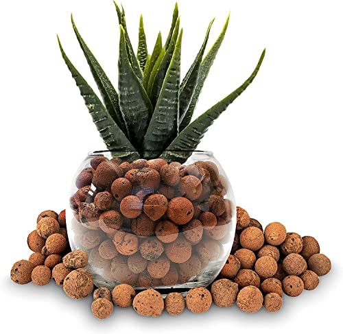 Professional Clay Pebbles | Expanded for Seedlings, Root Cuttings, Hydroponics, Plants | Lightweight Soil Additive | Large 2.2 Quarts | Made in USA 2 Professional Clay Pebbles | Expanded for Seedlings, Root Cuttings, Hydroponics, Plants | Lightweight Soil Additive | Large 2.2 Quarts | Made in USA - Image 2
