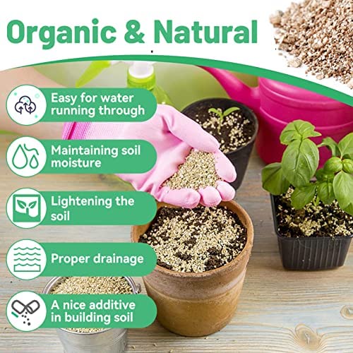 Organic Vermiculite Bulk, Horticultural Vermiculite for Plants, Soil Additive for Potted Plants, Vermiculite Coarse Hydroponic for Succulent Orchid Gardening Reptiles 3Qt 3 Organic Vermiculite Bulk, Horticultural Vermiculite for Plants, Soil Additive for Potted Plants, Vermiculite Coarse Hydroponic for Succulent Orchid Gardening Reptiles 3Qt - Image 3