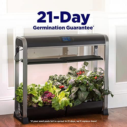 AeroGarden Farm 24Basic with Salad Bar Seed Pod Kit - Indoor Garden with LED Grow Light, Black 7 AeroGarden Farm 24Basic with Salad Bar Seed Pod Kit - Indoor Garden with LED Grow Light, Black - Image 7