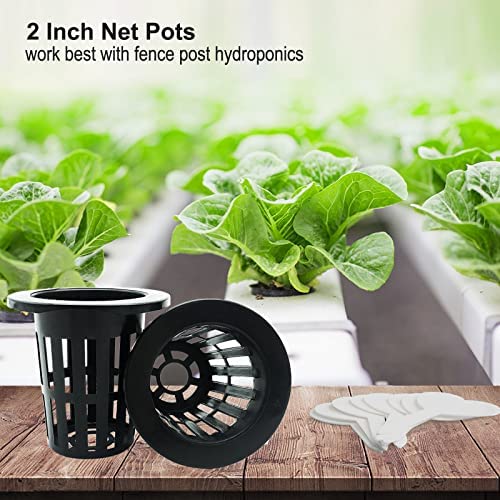 Tmtamye 100 Pack 2 inch Net Pots Hydroponics Supplies Cups 2 Tmtamye 100 Pack 2 inch Net Pots Hydroponics Supplies Cups - Image 2