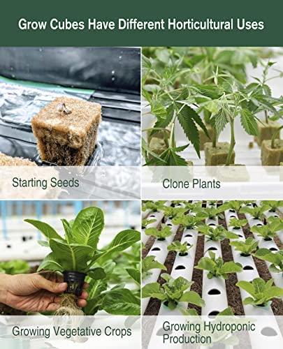 SKINNYBUNNY Rockwool Cubes 1 inch, Rock Wool Planting Cubes with Holes 3 SKINNYBUNNY Rockwool Cubes 1 inch, Rock Wool Planting Cubes with Holes - Image 3