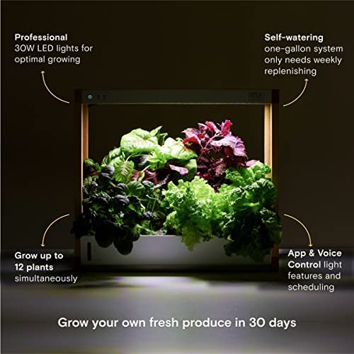 Rise Gardens Personal Garden and Starter Kit | Hydroponics Growing System, Wi-Fi & App Controlled Indoor Garden with Growing Lights & Self-Watering System | Includes 8 Seed Pods & 6 Weeks Nutrients 6 Rise Gardens Personal Garden and Starter Kit | Hydroponics Growing System, Wi-Fi & App Controlled Indoor Garden with Growing Lights & Self-Watering System | Includes 8 Seed Pods & 6 Weeks Nutrients - Image 6