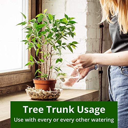 Humboldts Secret Tree Trunk - Silicate Additive - Advanced Nutrients - Helps Plants Flourish - Indoor Plant Food - Hydroponic Nutrients - Liquid Fertilizer (32 Ounce) 5 Humboldts Secret Tree Trunk - Silicate Additive - Advanced Nutrients - Helps Plants Flourish - Indoor Plant Food - Hydroponic Nutrients - Liquid Fertilizer (32 Ounce) - Image 5
