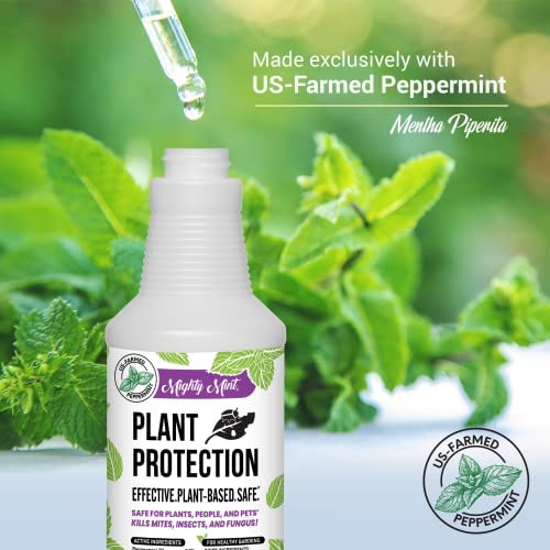 Mighty Mint 32oz Plant Protection Peppermint Spray for Spider Mites, Insects, Fungus, and Disease 6 Mighty Mint 32oz Plant Protection Peppermint Spray for Spider Mites, Insects, Fungus, and Disease - Image 6