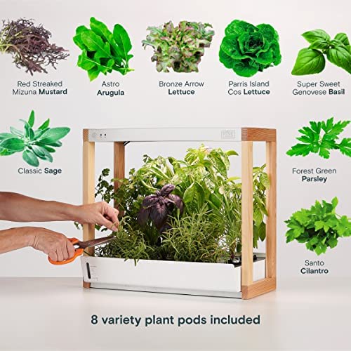 Rise Gardens Personal Garden and Starter Kit | Hydroponics Growing System, Wi-Fi & App Controlled Indoor Garden with Growing Lights & Self-Watering System | Includes 8 Seed Pods & 6 Weeks Nutrients 4 Rise Gardens Personal Garden and Starter Kit | Hydroponics Growing System, Wi-Fi & App Controlled Indoor Garden with Growing Lights & Self-Watering System | Includes 8 Seed Pods & 6 Weeks Nutrients - Image 4