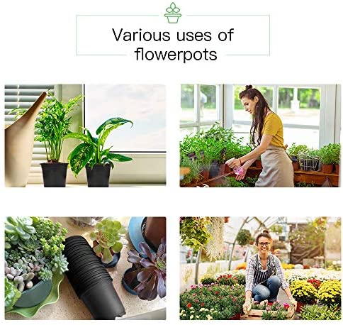 JERIA 100-Pack 0.5 Gallon Plant Nursery Pots, Plastic Pots for Flower Seedling, Flower Plant Container Seed Starting Pot, Come with 100 Pcs Plant Labels 7 JERIA 100-Pack 0.5 Gallon Plant Nursery Pots, Plastic Pots for Flower Seedling, Flower Plant Container Seed Starting Pot, Come with 100 Pcs Plant Labels - Image 7