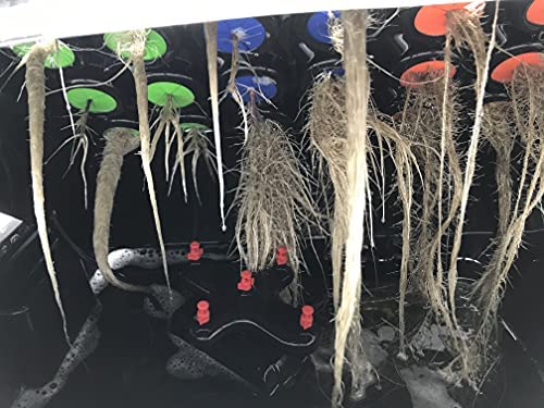 Viagrow® VCLN24 Clone Machine 24 Site Aeroponic Hydroponic System 2 Viagrow® VCLN24 Clone Machine 24 Site Aeroponic Hydroponic System - Image 2