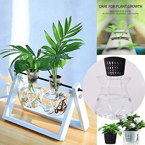 Baaxxango 50 PCS 3 Inch Heavy Duty Net Pots,Hydroponic Cups,Garden Slotted Mesh Net Cups,Plant Nursery Net Pots for Hydroponics,Slotted Mesh 6 Baaxxango 50 PCS 3 Inch Heavy Duty Net Pots,Hydroponic Cups,Garden Slotted Mesh Net Cups,Plant Nursery Net Pots for Hydroponics,Slotted Mesh - Image 6