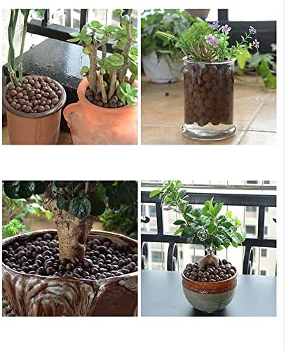 Expanded Clay Pebbles Hydroponic Rocks Organic Ceramsite Grow Media for Horticultural,Orchids,Drainage, Decor Cultivation (0.3-0.5in, 12 LBS) 6 Expanded Clay Pebbles Hydroponic Rocks Organic Ceramsite Grow Media for Horticultural,Orchids,Drainage, Decor Cultivation (0.3-0.5in, 12 LBS) - Image 6