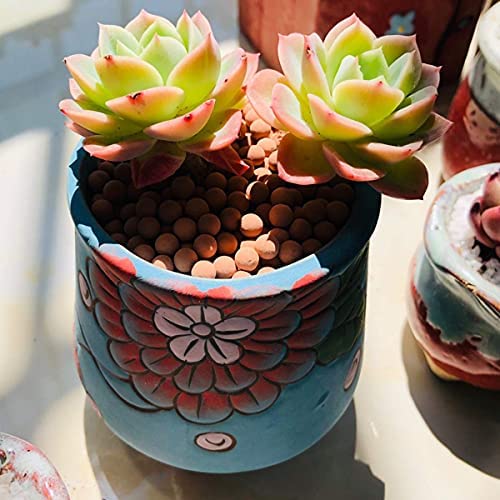 Wohohoho 2.2lbs Mini Hydroponics Clay Pebbles, Upgraded 3mm-5mm Hydro Ceramsite Balls 7 Wohohoho 2.2lbs Mini Hydroponics Clay Pebbles, Upgraded 3mm-5mm Hydro Ceramsite Balls - Image 7